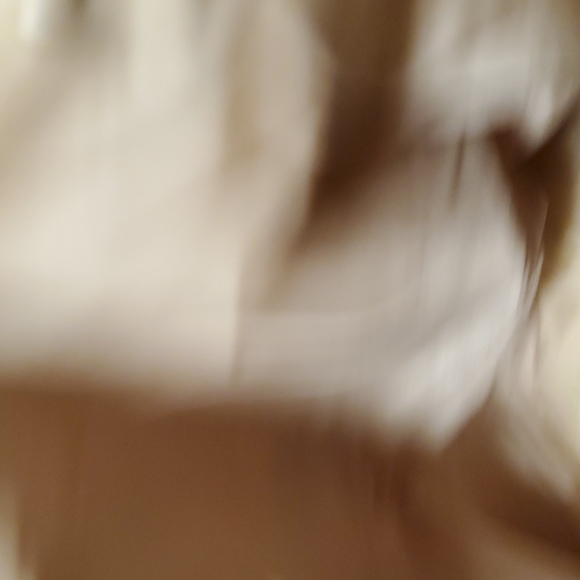 NWOT Tassel Purse - Picture 4 of 5